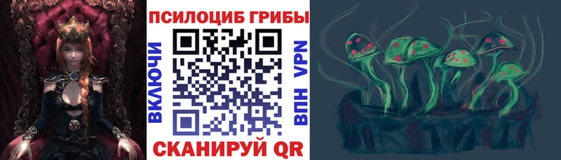 Галлюциногенные грибы MAGIC MUSHROOMS  цены наркотик  Демидов 